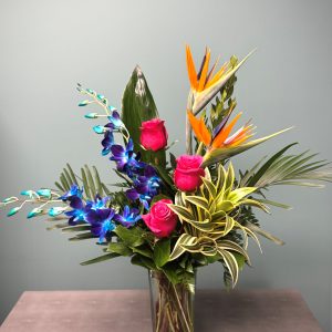 Tropical Ties