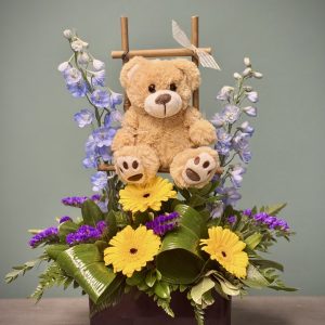 Boy oh Boy! with Small Stuffie