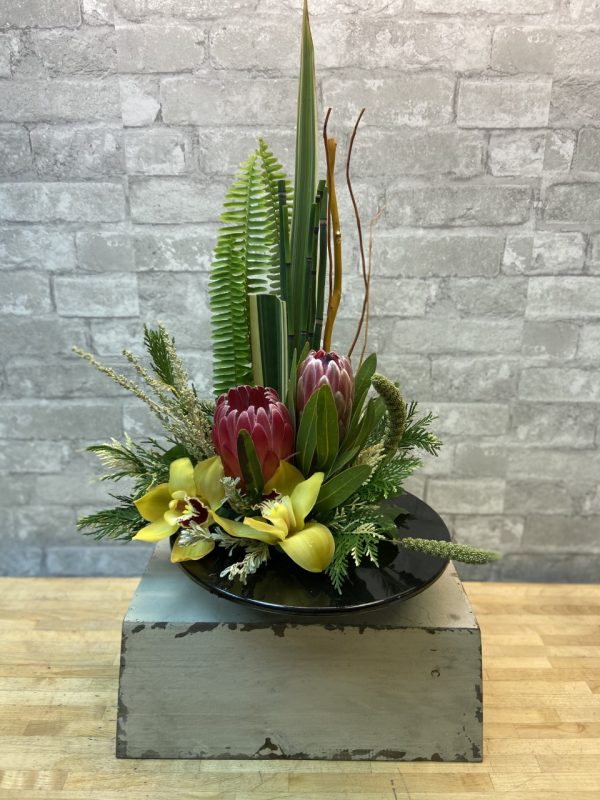 Zen Protea