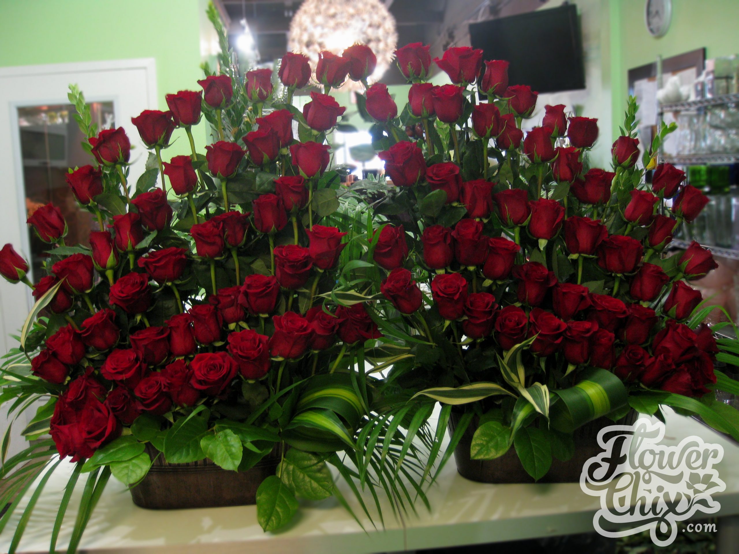 One Hundred Roses!