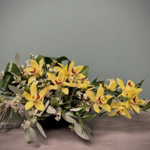 Opulent Orchid