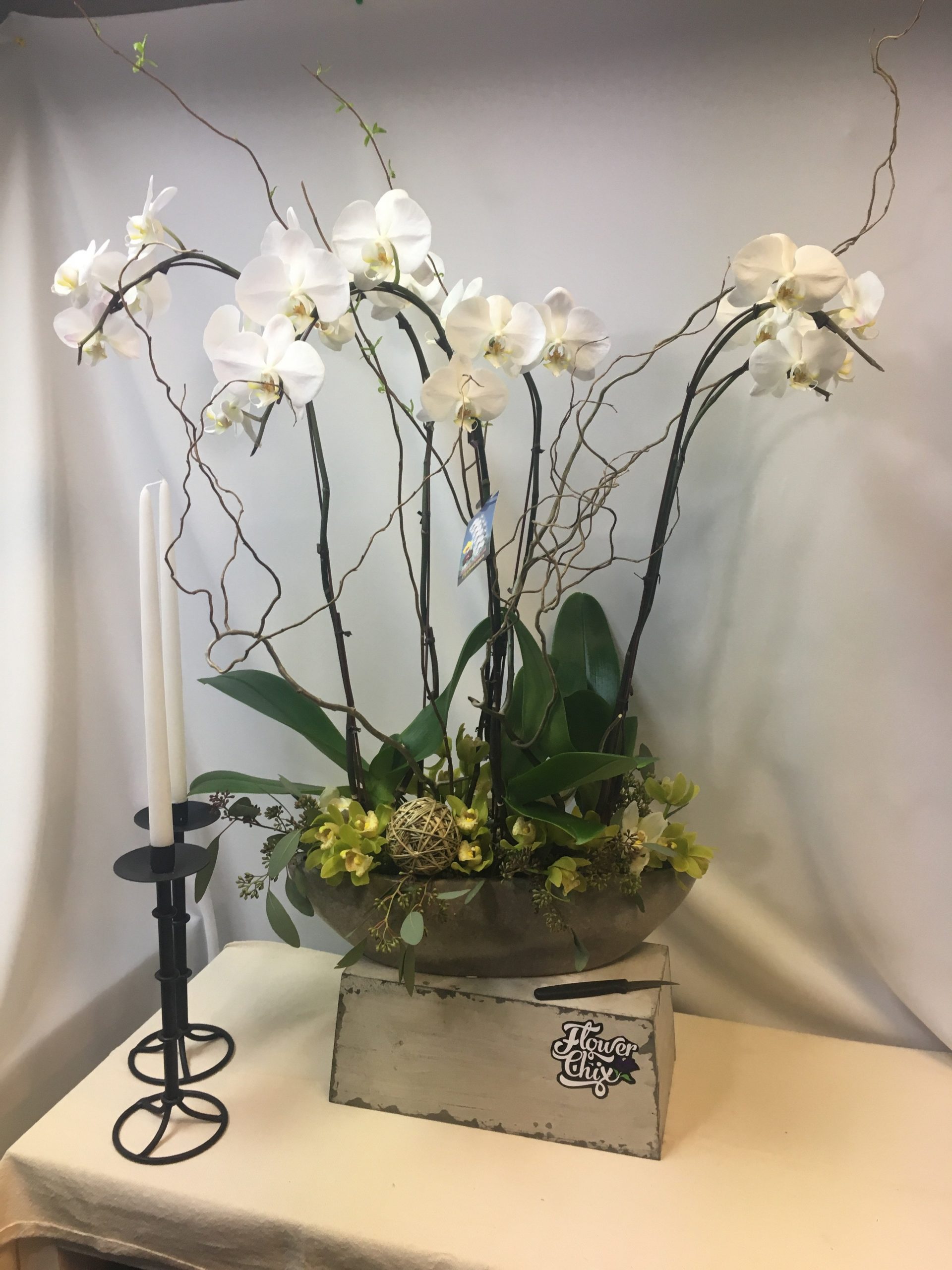 White Phaleanopsis Orchid Deluxe Version