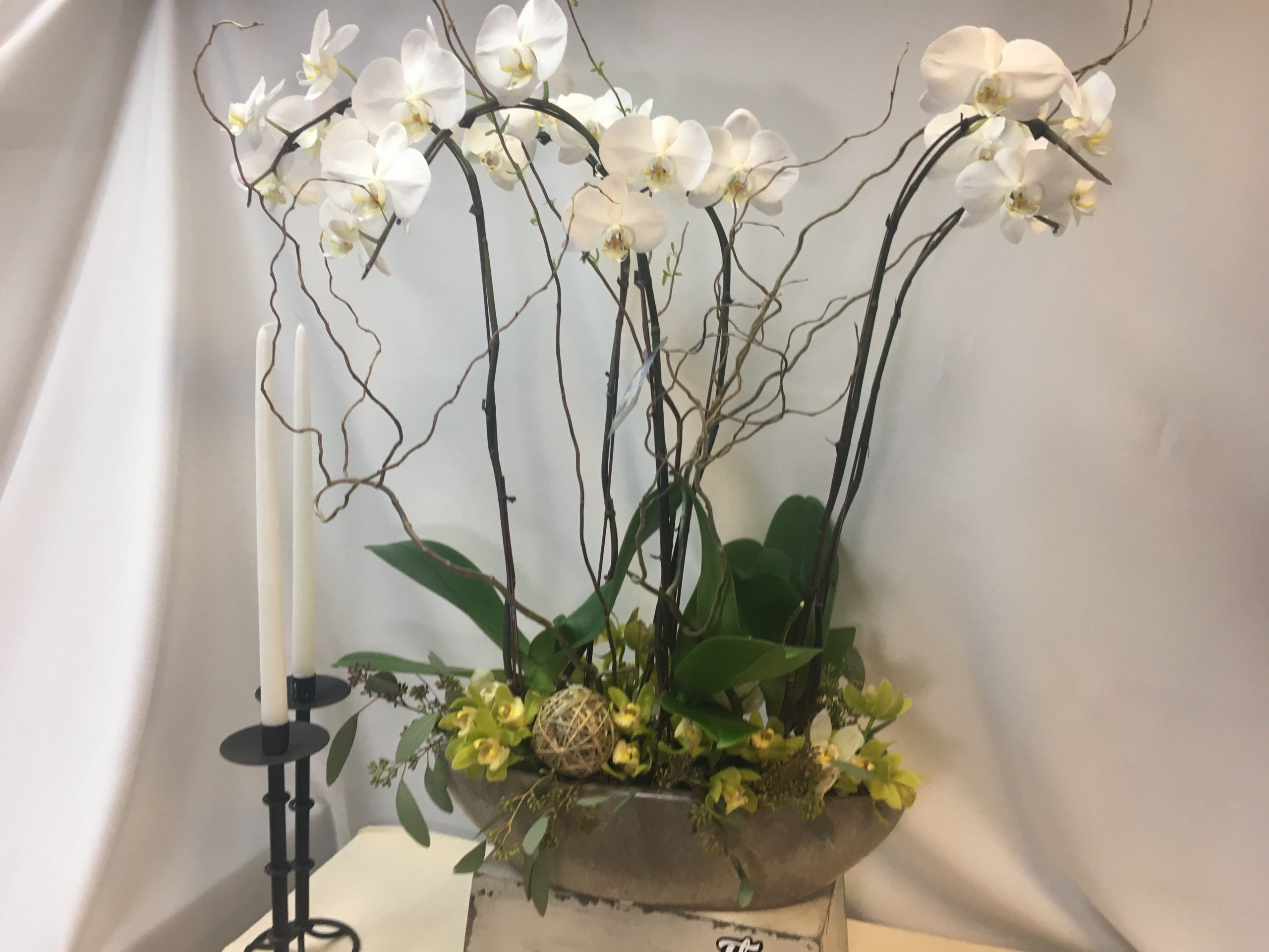 White Phaleanopsis Orchid Deluxe Version