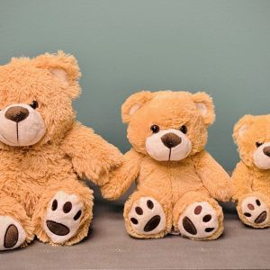 Stuffed Teddy Bear
