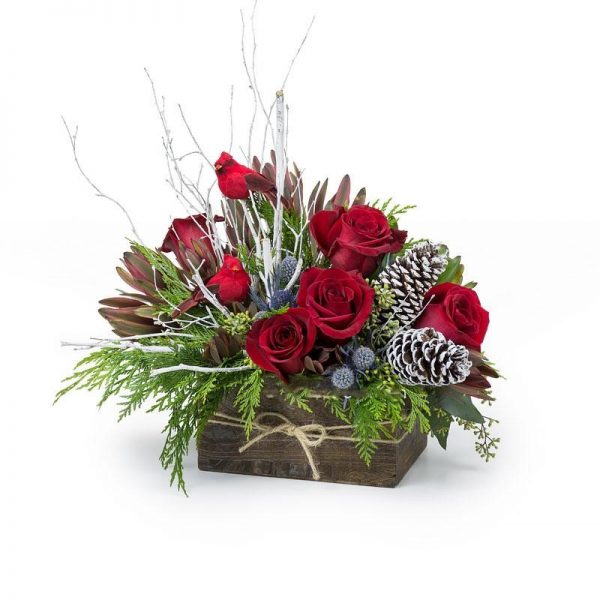 Cardinal Christmas Box