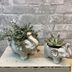 Mom & Baby Elephant Planters