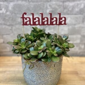 The Falalalala Jade in Gorgeous Pot!