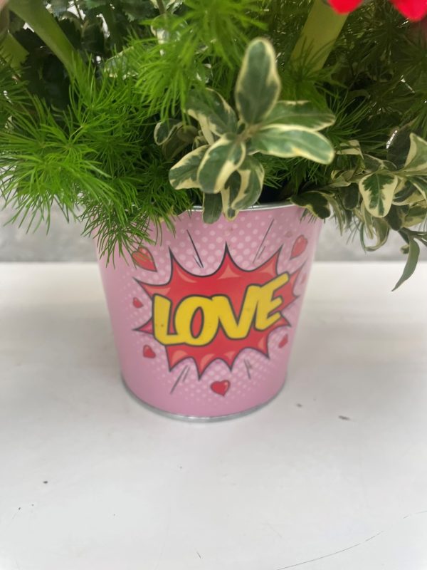 Pow! Love - Image 2