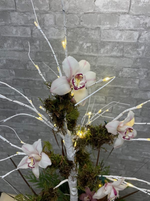 The Singing Tree - Image 5
