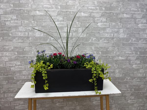 Gorgeous Balcony Pot for Mom