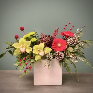 Noel in Blooms