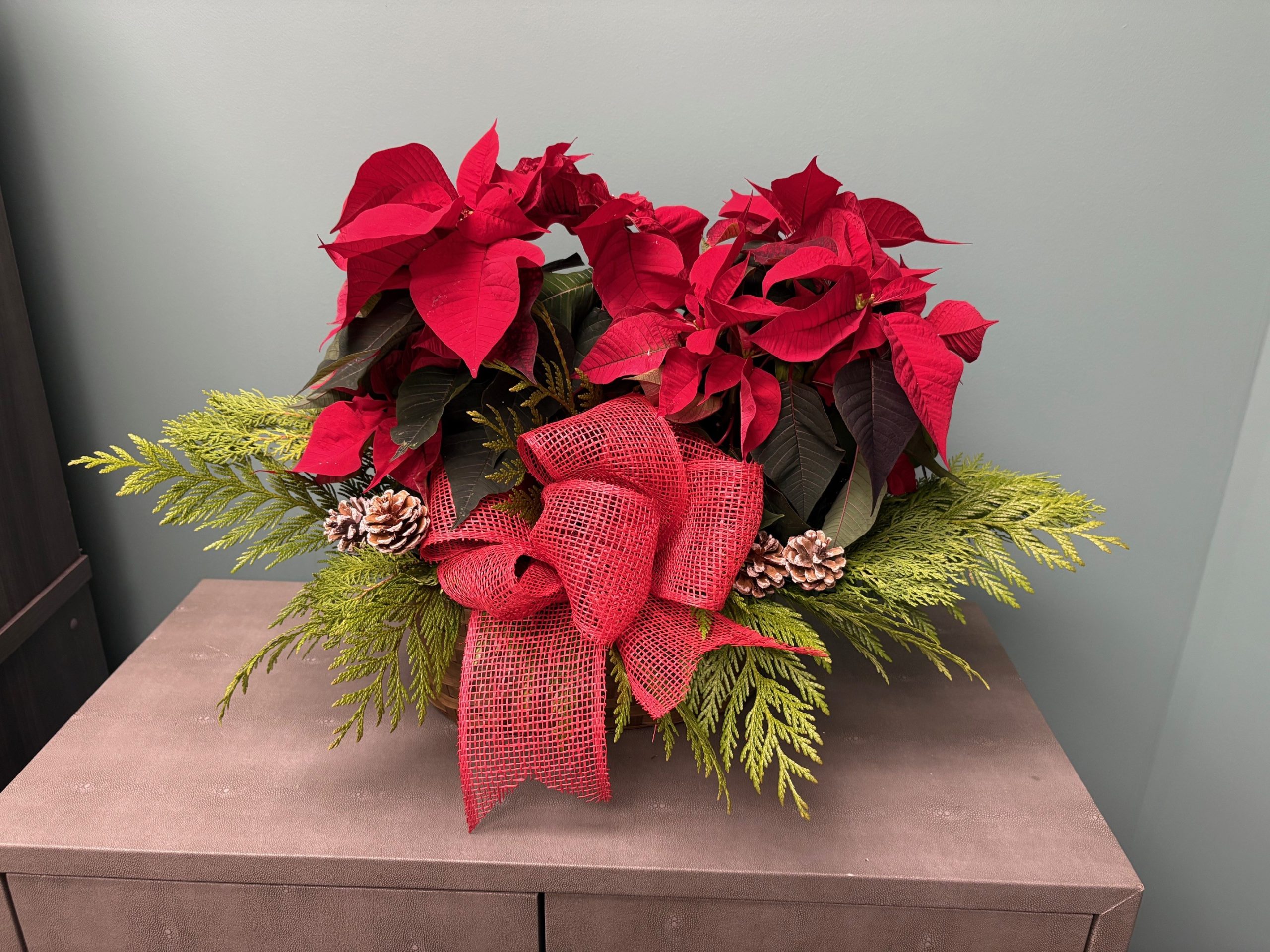 Dressed Poinsettia in Basket