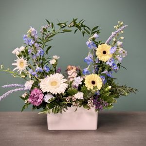 Baby’s Embrace- Blue Bloom