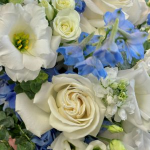 Ocean Blue Wedding Package