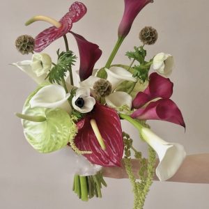 Wildly Modern Wedding Package
